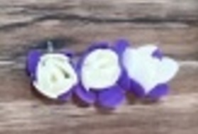 Single Layer Hair Clip